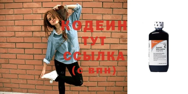 прущие грибы Верея