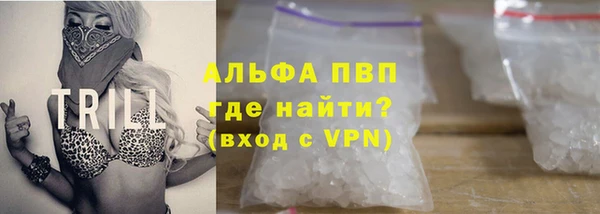амф Верхний Тагил