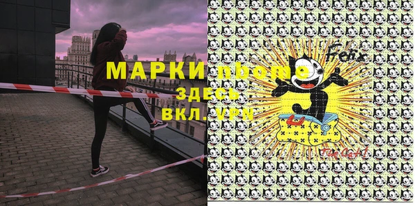 прущие грибы Верея