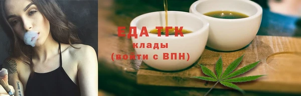 амф Верхний Тагил