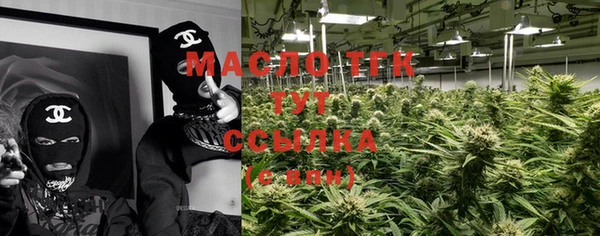 амф Верхний Тагил
