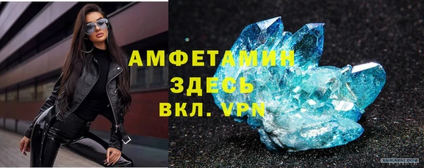 прущие грибы Верея
