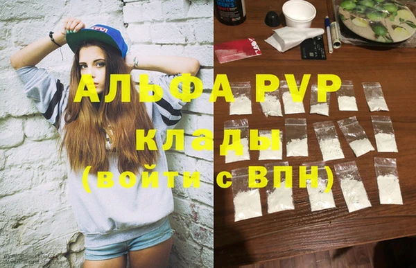 прущие грибы Верея