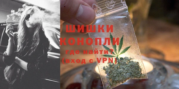 амф Верхний Тагил