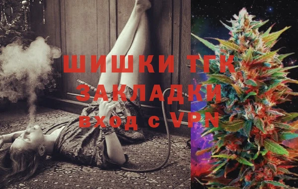 прущие грибы Верея